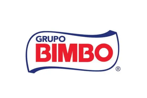 Persona revisando oportunidades para trabajar en Grupo Bimbo